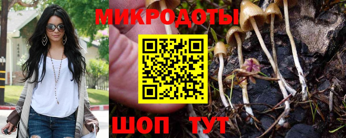 Псилоцибиновые грибы прущие грибы  Вход с VPN  Чебоксары 